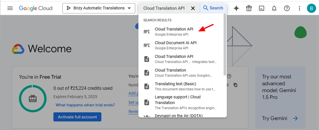 Google Cloud Translation API 5.jpg