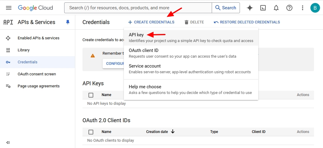 Google Cloud Translation API 14.jpg
