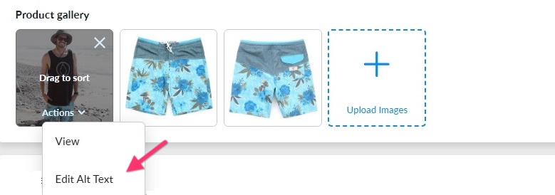 Brizy Shop Edit Alt Text.jpg