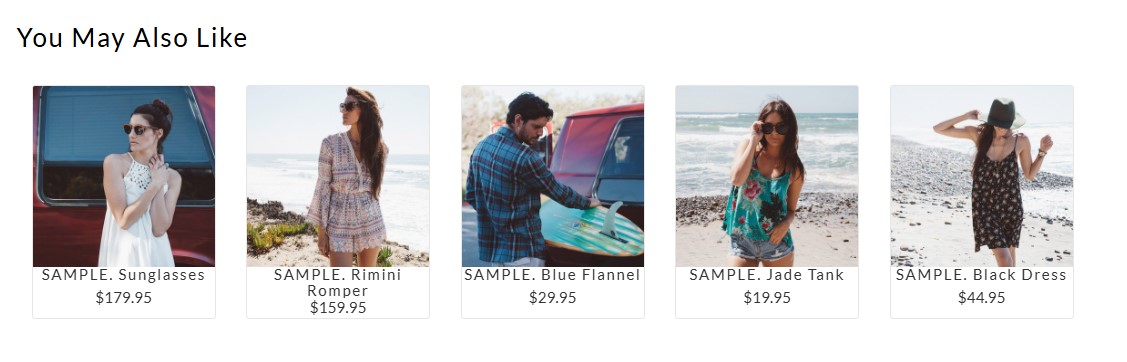 Brizy Shop You may also like.jpg