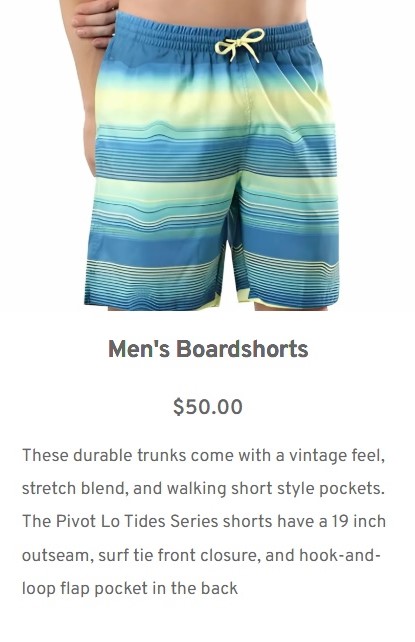 Brizy Shop Brief Product Description.jpg