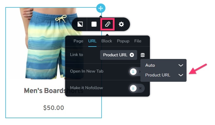Brizy Shop Product URL.jpg