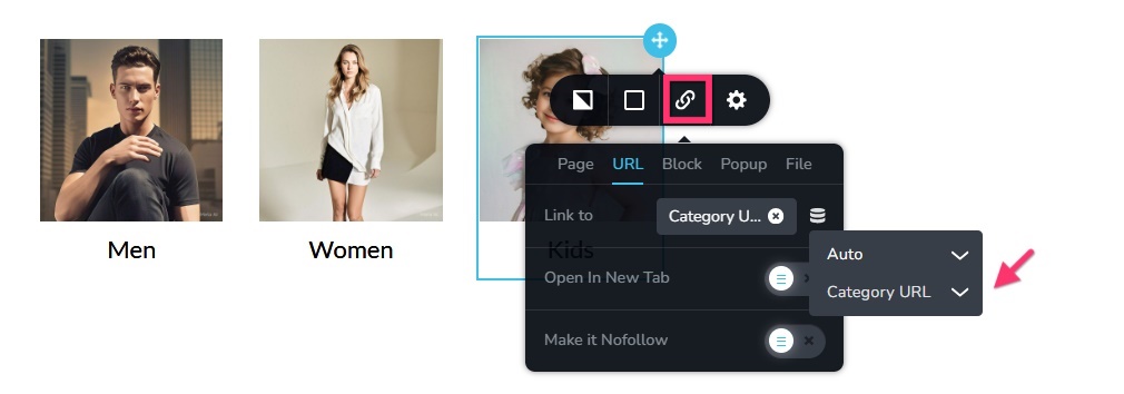 Brizy Shop Category URL.jpg