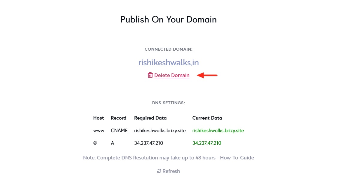 Custom Domain Delete Domain.jpg