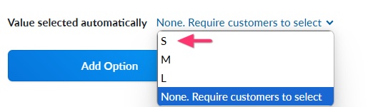 Brizy Shops Default Production Option.jpg