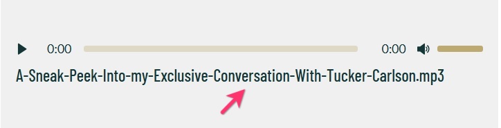 Accessibility - Title in Audio file.jpg