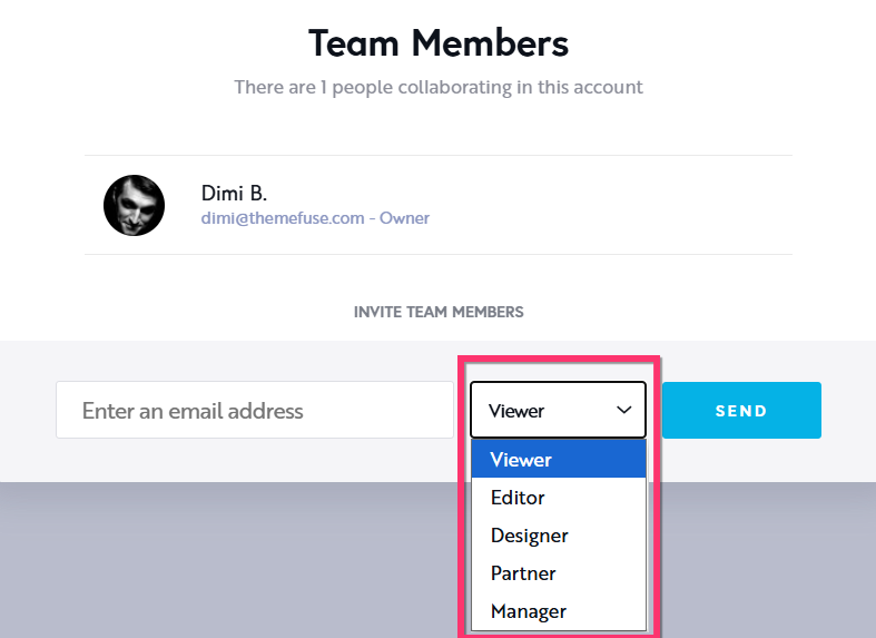team member roles.png
